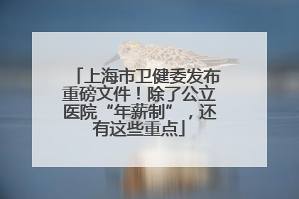 上海市卫健委发布重磅文件！除了公立医院“年薪制”，还有这些重点