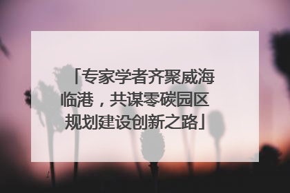 专家学者齐聚威海临港，共谋零碳园区规划建设创新之路