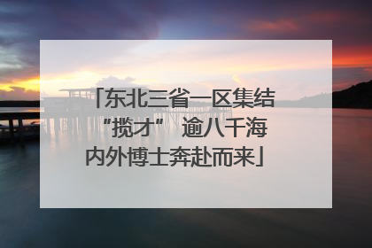 东北三省一区集结“揽才” 逾八千海内外博士奔赴而来