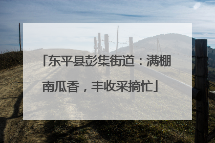 东平县彭集街道：满棚南瓜香，丰收采摘忙