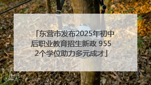 东营市发布2025年初中后职业教育招生新政 9552个学位助力多元成才