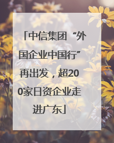 中信集团“外国企业中国行”再出发，超200家日资企业走进广东