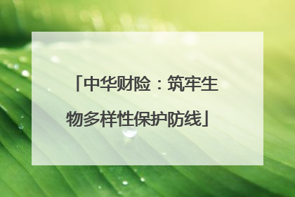 中华财险：筑牢生物多样性保护防线
