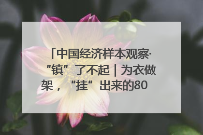中国经济样本观察·“镇”了不起｜为衣做架，“挂”出来的80亿元“衣架产业”