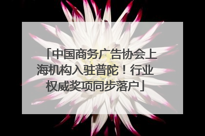 中国商务广告协会上海机构入驻普陀！行业权威奖项同步落户