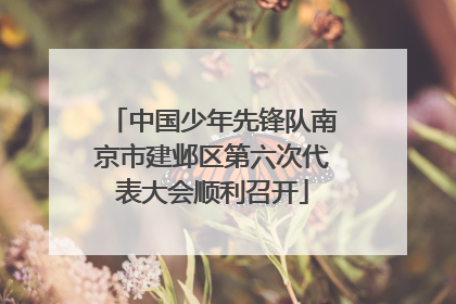 中国少年先锋队南京市建邺区第六次代表大会顺利召开