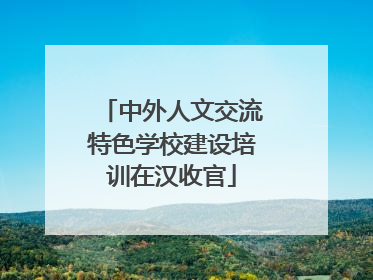 中外人文交流特色学校建设培训在汉收官