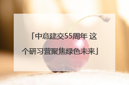 中意建交55周年 这个研习营聚焦绿色未来