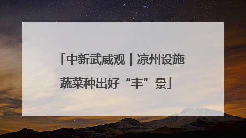 中新武威观｜凉州设施蔬菜种出好“丰”景