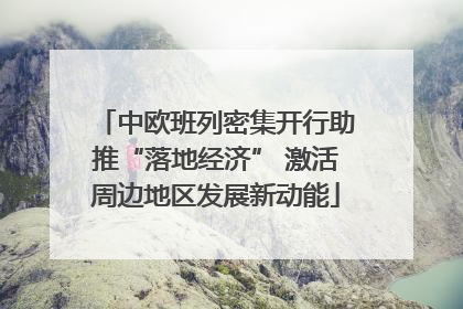 中欧班列密集开行助推“落地经济” 激活周边地区发展新动能
