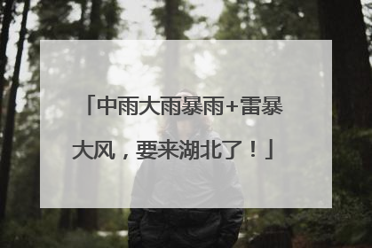 中雨大雨暴雨+雷暴大风，要来湖北了！