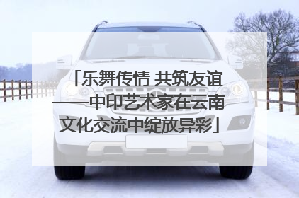 乐舞传情 共筑友谊——中印艺术家在云南文化交流中绽放异彩