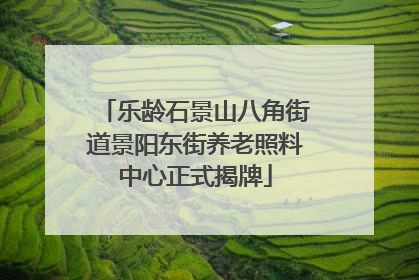 乐龄石景山八角街道景阳东街养老照料中心正式揭牌