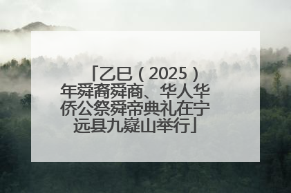 乙巳（2025）年舜裔舜商、华人华侨公祭舜帝典礼在宁远县九嶷山举行