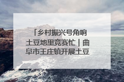乡村振兴号角响 土豆地里竞赛忙｜曲阜市王庄镇开展土豆收获劳动竞赛