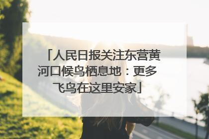 人民日报关注东营黄河口候鸟栖息地：更多飞鸟在这里安家