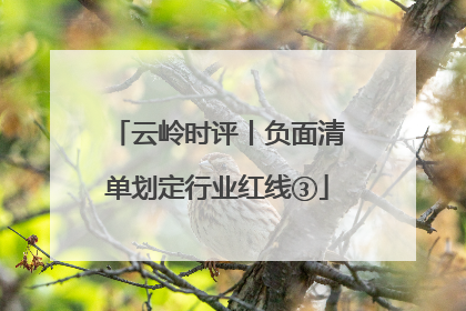 云岭时评丨负面清单划定行业红线③
