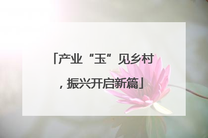 产业“玉”见乡村，振兴开启新篇