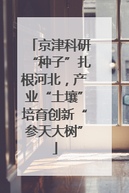 京津科研“种子”扎根河北，产业“土壤”培育创新“参天大树”