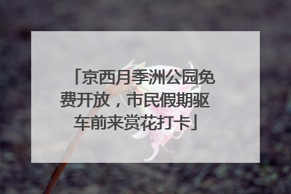 京西月季洲公园免费开放，市民假期驱车前来赏花打卡