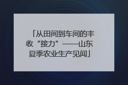 从田间到车间的丰收“接力”——山东夏季农业生产见闻