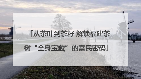 从茶叶到茶籽 解锁福建茶树“全身宝藏”的富民密码