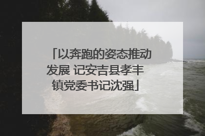 以奔跑的姿态推动发展 记安吉县孝丰镇党委书记沈强
