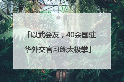 以武会友，40余国驻华外交官习练太极拳