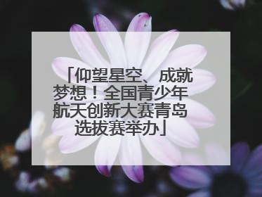 仰望星空、成就梦想！全国青少年航天创新大赛青岛选拔赛举办