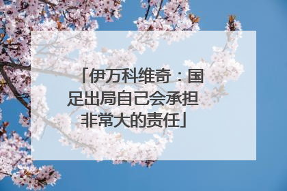 伊万科维奇：国足出局自己会承担非常大的责任