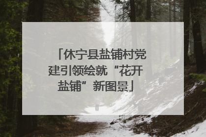 休宁县盐铺村党建引领绘就“花开盐铺”新图景