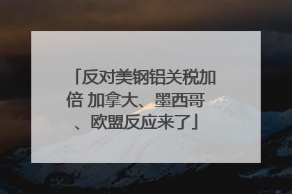 反对美钢铝关税加倍 加拿大、墨西哥、欧盟反应来了