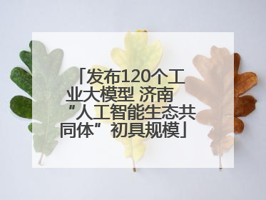 发布120个工业大模型 济南 “人工智能生态共同体”初具规模