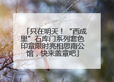 只在明天！“西成里”石库门系列套色印章限时亮相思南公馆，快来盖章吧