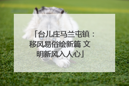 台儿庄马兰屯镇：移风易俗绘新篇 文明新风入人心
