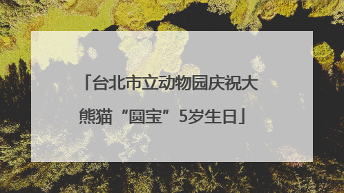 台北市立动物园庆祝大熊猫“圆宝”5岁生日