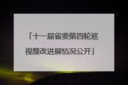 十一届省委第四轮巡视整改进展情况公开