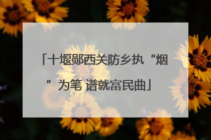 十堰郧西关防乡执“烟”为笔 谱就富民曲