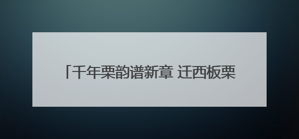 千年栗韵谱新章 迁西板栗高质发展背后的产业密码