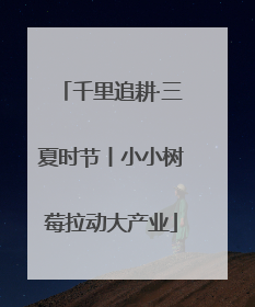 千里追耕·三夏时节丨小小树莓拉动大产业