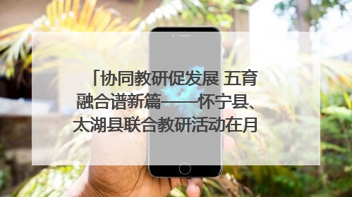 协同教研促发展 五育融合谱新篇——怀宁县、太湖县联合教研活动在月山镇中心学校成功举办