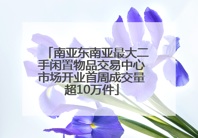 南亚东南亚最大二手闲置物品交易中心市场开业首周成交量超10万件
