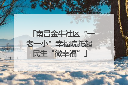 南昌金牛社区“一老一小”幸福院托起民生“微幸福”