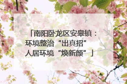 南阳卧龙区安皋镇：环境整治“出真招” 人居环境“焕新颜”