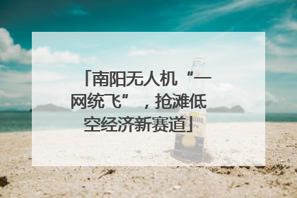 南阳无人机“一网统飞”，抢滩低空经济新赛道