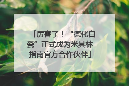 厉害了！“德化白瓷”正式成为米其林指南官方合作伙伴