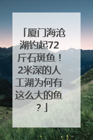 厦门海沧湖钓起72斤石斑鱼！2米深的人工湖为何有这么大的鱼？