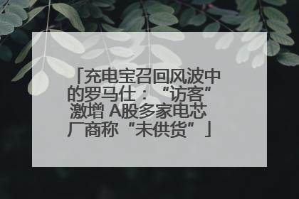 充电宝召回风波中的罗马仕：“访客”激增 A股多家电芯厂商称“未供货”