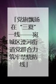 党旗飘扬在“三夏”一线——宛城区溧河街道党群合力筑牢禁烧防线