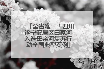 全省唯一！四川遂宁安居区白家河入选母亲河复苏行动全国典型案例
